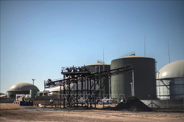 Nam Phi họp khẩn cấp về khủng hoảng điện