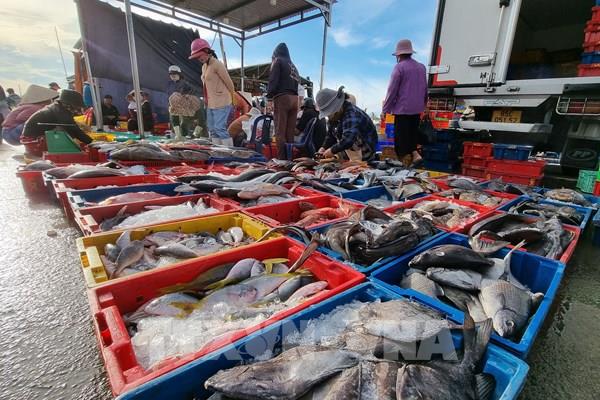 Khắc phục "thẻ vàng" IUU: Khai thác gắn với bảo vệ nguồn lợi thủy sản