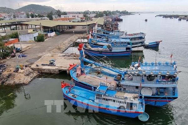 Để thủy sản Việt Nam phát triển bền vững – Bài 1: Quyết liệt gỡ “thẻ vàng” IUU