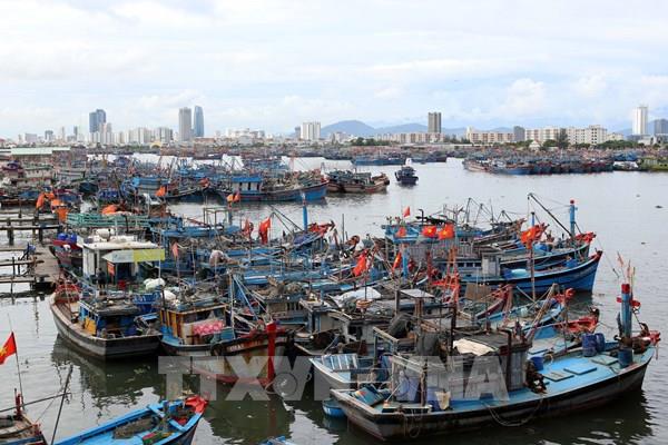 Đà Nẵng cấm tàu thuyền ra khơi