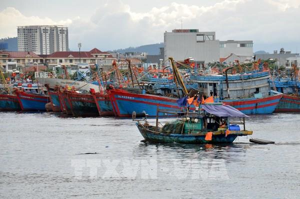 Bão NORU sẽ vào Biển Đông từ đêm 25/9, các tỉnh, thành phố chủ động ứng phó