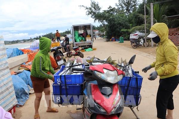 Người dân ven biển Quảng Ngãi gấp rút ứng phó bão NORU