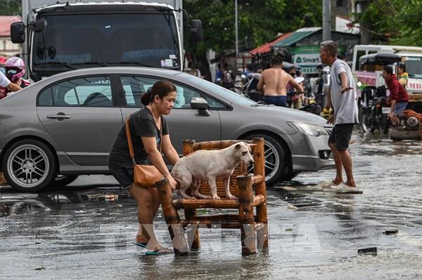 Ít nhất 5 người thiệt mạng tại Philippines do siêu bão Noru
