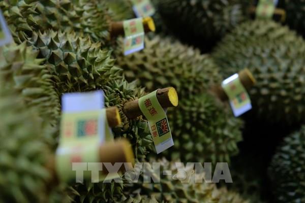 Nông sản Việt vươn xa ra thế giới - Bài 1: Những dấu ấn mới trên thị trường