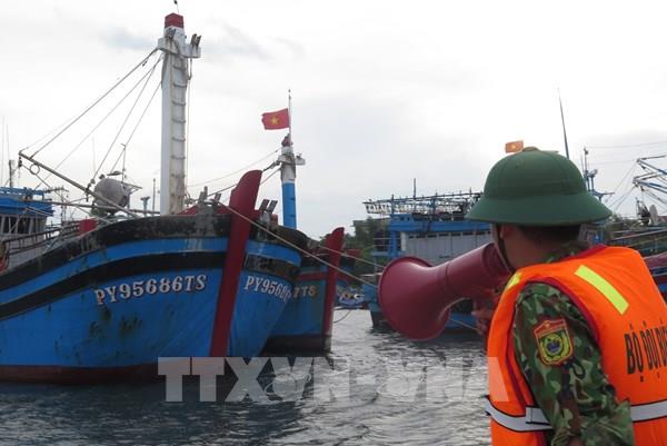 Vận dụng phương châm "bốn tại chỗ", sẵn sàng các phương án ứng phó với bão số 4