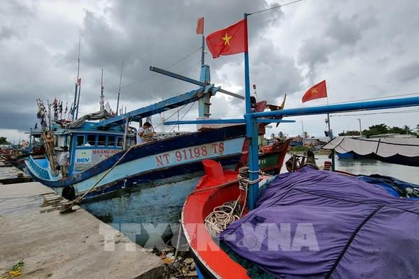 Làm gì để giảm thiểu những thiệt hại do bão gây ra?