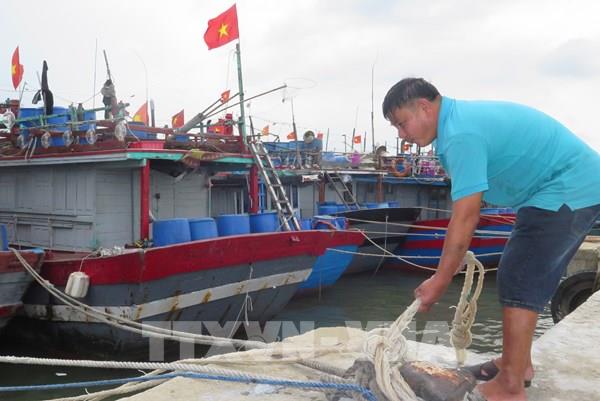 Thừa Thiên - Huế hoàn thành sơ tán dân trước 12 giờ ngày 27/9