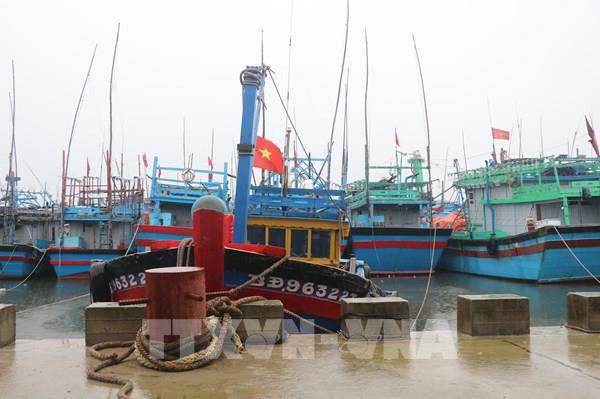 Bão Noru (bão số 4) mạnh như thế nào?