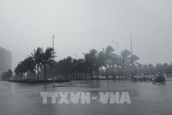 Kế hoạch kích hoạt hỗ trợ khẩn cấp giảm nhẹ rủi ro thiên tai do bão số 4