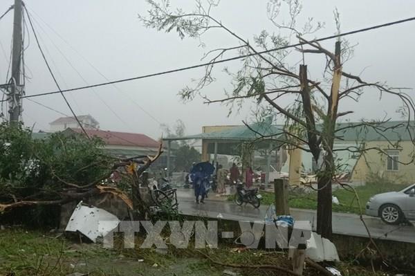 UNICEF sẵn sàng hỗ trợ Việt Nam ứng phó với bão số 4