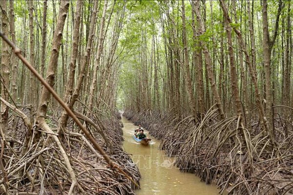 Nuôi trồng thủy sản sinh thái: Hài hòa lợi ích