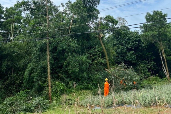 PTC1 gấp rút kiểm tra hành lang tuyến, gia cố các vị trí xung yếu trước cơn bão Noru