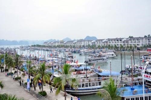 Quảng Ninh: Tăng phí dịch vụ qua 2 cảng tàu du lịch chưa thể thực hiện từ 1/4