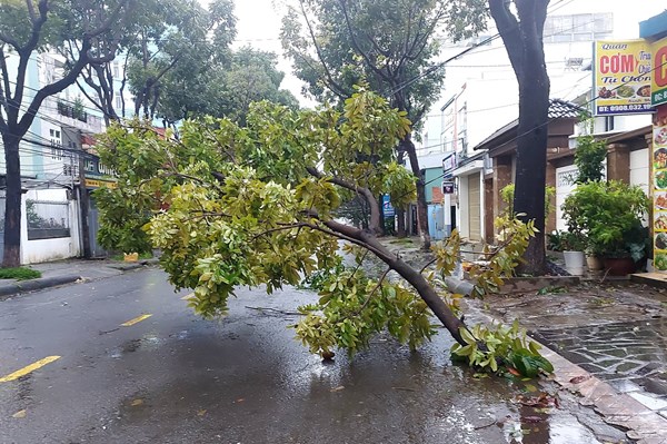 Bão số 4 gây thiệt hại về tài sản tại Gia Lai