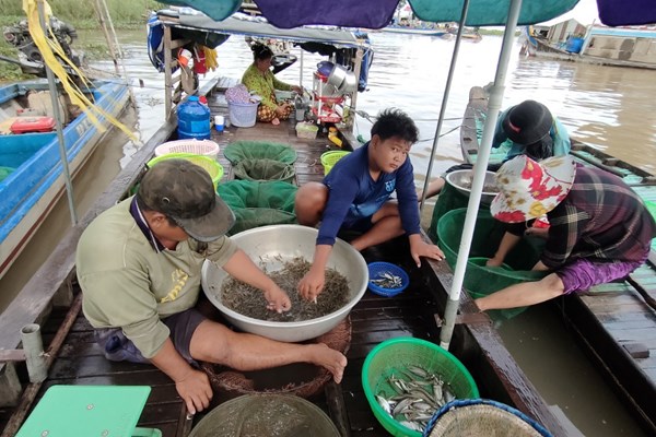 Đìu hiu chợ cá đồng mùa lũ