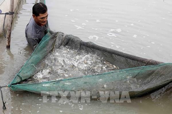  "Bệ đỡ" cho người dân thoát nghèo