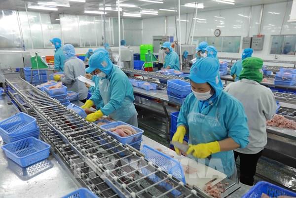 FSIS đánh giá ban đầu sau kiểm tra an toàn thực phẩm với cá tra Việt Nam