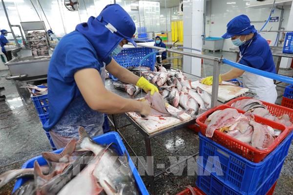 Đề xuất có chiến lược truyền thông cho ngành hàng cá tra