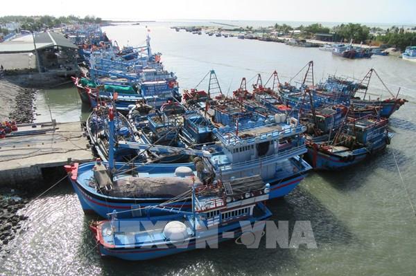 “Nước rút” hoàn thiện hồ sơ truy xuất nguồn gốc thủy sản