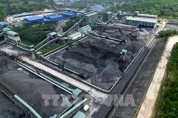 TKV thông tin làm rõ số liệu kiểm toán tài chính