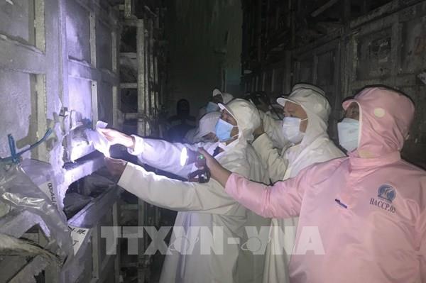 Khắc phục “thẻ vàng” IUU: Còn nhiều tồn tại khi kiểm tra liên ngành