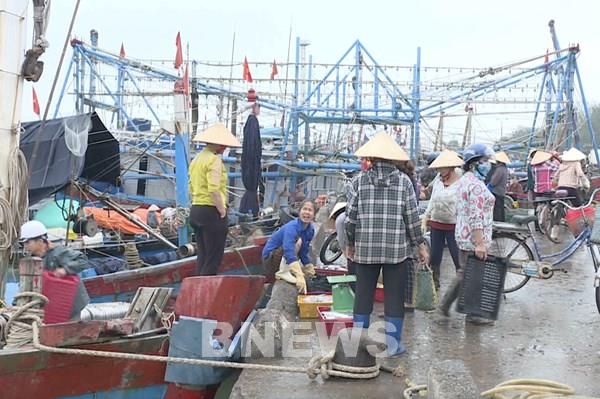 Giá nhiên liệu giảm nhiệt, ngư dân Thanh Hóa ra khơi trở lại