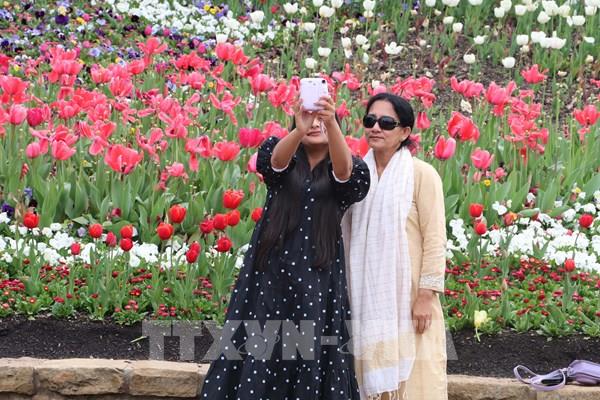 Lộng lẫy Lễ hội hoa mùa xuân Floriade năm 2022 ở Australia