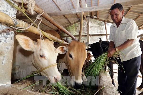 Trà Vinh giải ngân trên 100 tỷ đồng cho 5 chương trình tín dụng chính sách