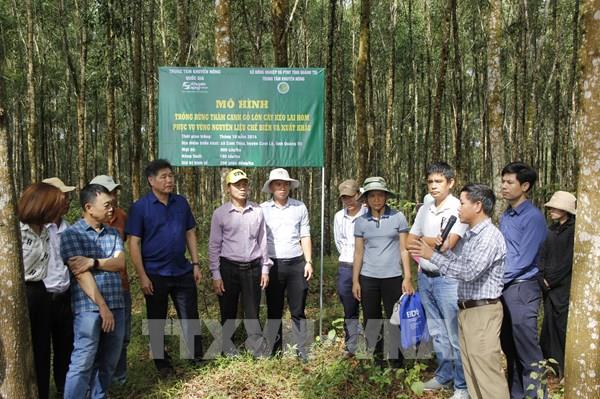 Xây dựng quy chế hoạt động tổ khuyến nông cộng đồng