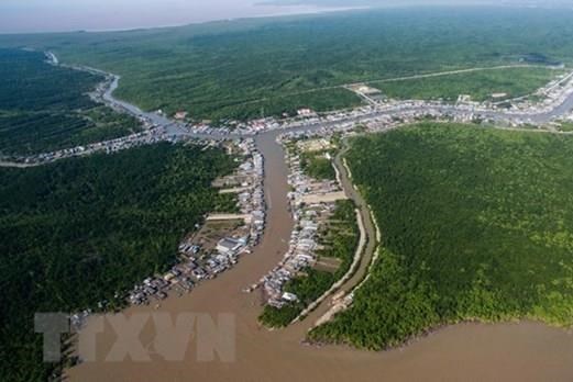 Cà Mau: Khởi tố, bắt tạm giam nguyên Giám đốc Vườn Quốc gia Mũi Cà Mau cùng thuộc cấp