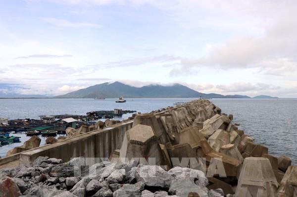 Xúc tiến đầu tư các hãng tàu container Cảng Chân Mây