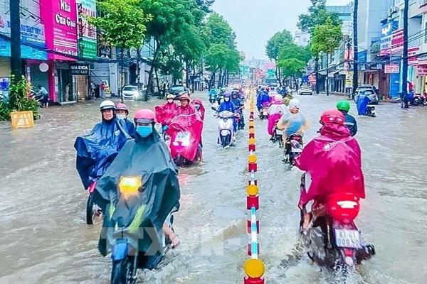Cần Thơ: Triều cường có thể tái lập mốc lịch sử năm 2019