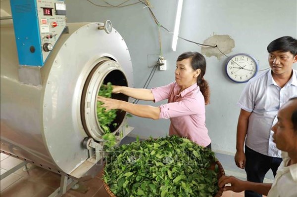 Gỡ khó cho phát triển sản phẩm OCOP