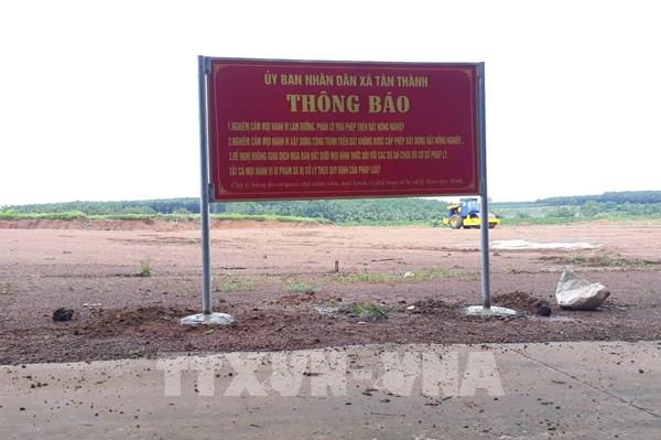Bình Phước: Xử phạt một cá nhân tự phân lô, quảng cáo bán nền trái phép
