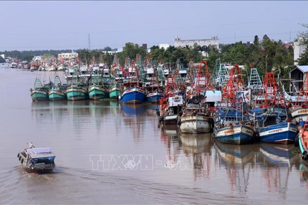 Khắc phục "thẻ vàng" IUU: Kiên Giang xử lý tàu cá vi phạm vùng biển nước ngoài