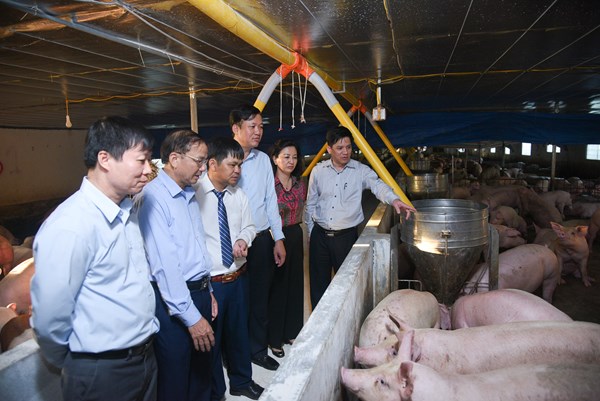 Nông dân Bắc Giang đổi mới sáng tạo trong sản xuất