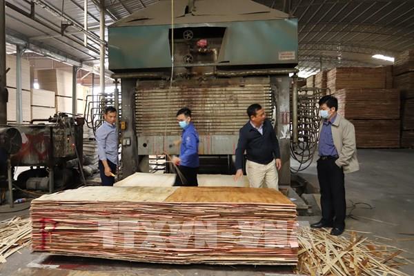 Ngày Doanh nhân Việt Nam: Khát vọng làm giàu từ đặc sản quê hương