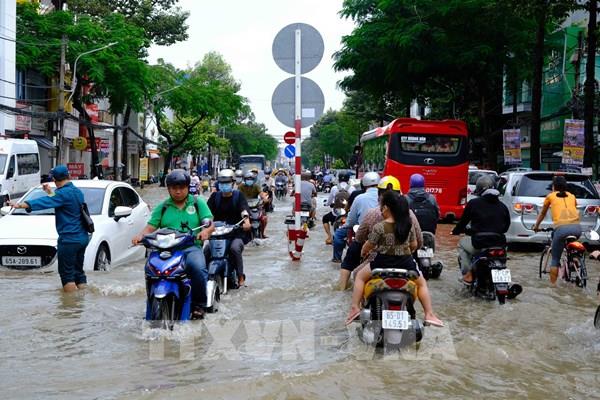 Cần Thơ: Triều cường bất ngờ vượt báo động III sớm hơn dự báo
