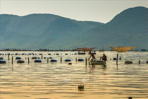 Để ngành nuôi biển vươn khơi