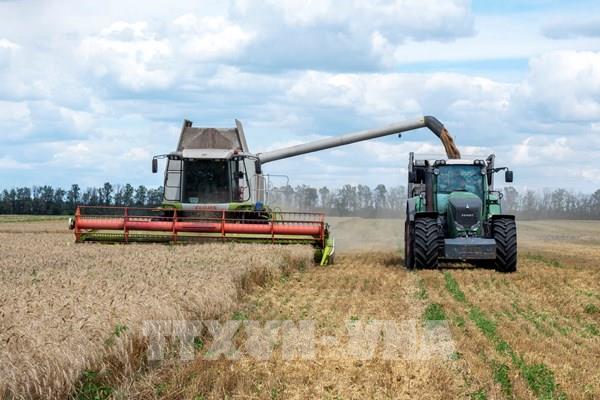 EU lên kế hoạch đền bù nông dân bị ảnh hưởng bởi ngũ cốc nhập khẩu từ Ukraine