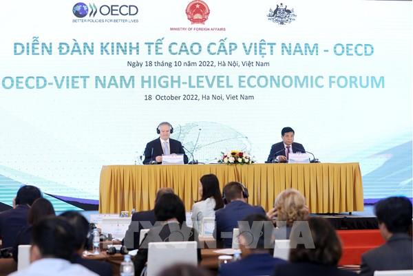 Tăng cường cam kết với Việt Nam là một trong những ưu tiên hàng đầu của OECD