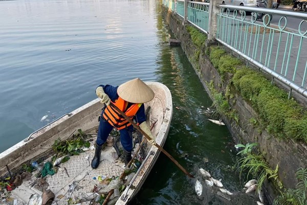 Hà Nội: Cơ bản không còn hiện tượng cá chết nổi tại hồ Tây