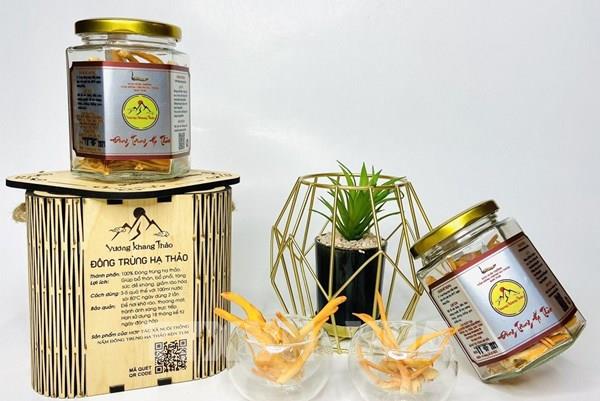 Kon Tum gặp khó trong phát triển thương mại điện tử