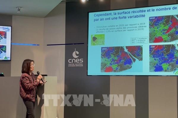 Nữ tiến sĩ Việt kiều tại Pháp "nặng lòng" với cây lúa ĐBSCL