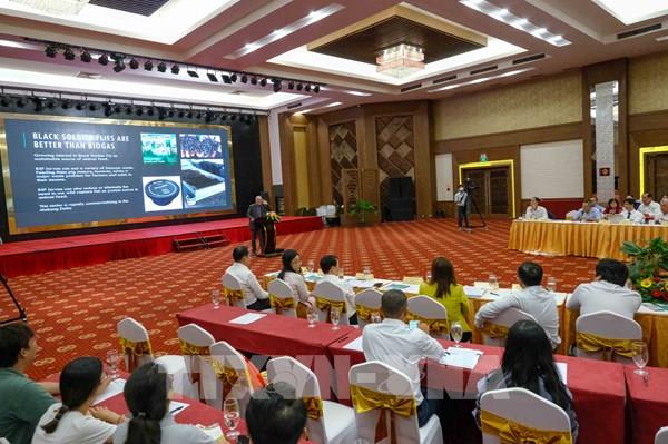 Hạn mặn tác động đến phát triển kinh tế và doanh nghiệp Đồng bằng sông Cửu Long