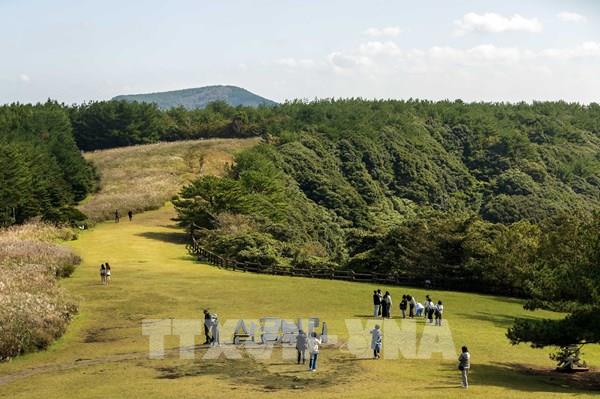Cảnh đẹp đặc biệt của miệng núi lửa Sangumburi trên đảo Jeju (Hàn Quốc)