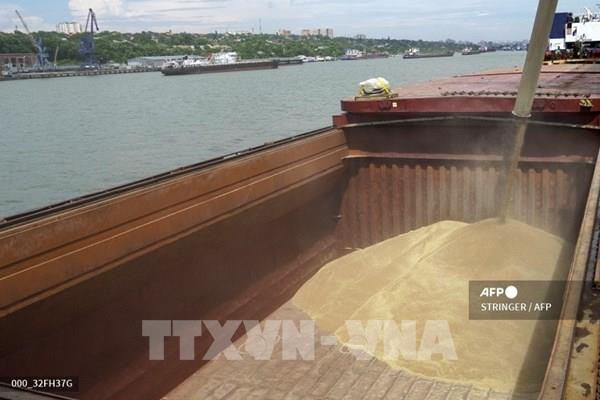 Nguy cơ giá lương thực tăng cao khi Nga rút khỏi thỏa thuận với Ukraine