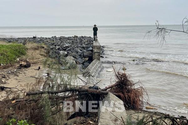 Thanh Hóa: Sớm công bố tình huống khẩn cấp sạt lở, xâm thực bờ biển tại Hoằng Hóa
