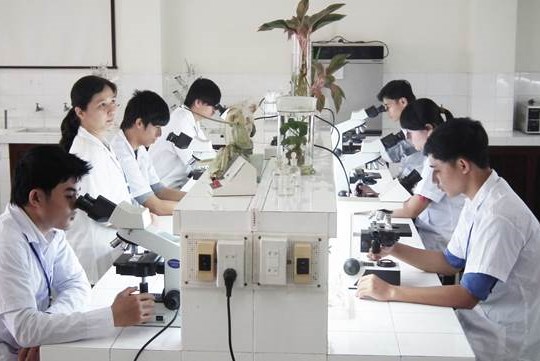 Từ 12/12, bỏ yêu cầu chứng chỉ ngoại ngữ, tin học với viên chức ngành KH&CN