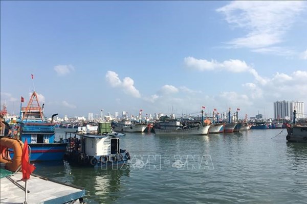 Những chính sách mới, nổi bật có hiệu lực trong tháng 12/2022